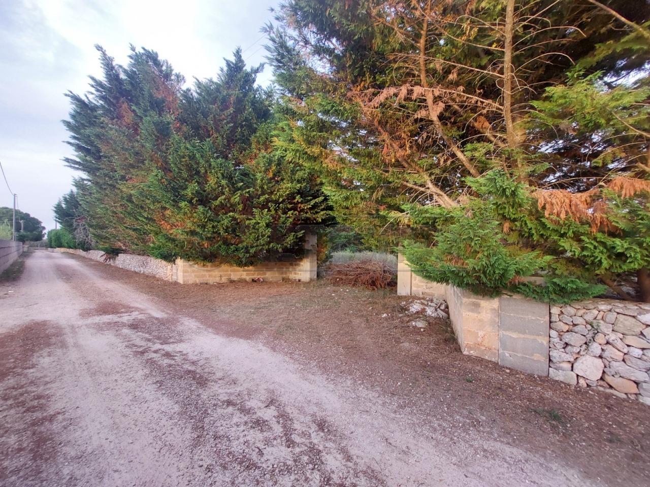 Vendita Terreni, Muro Leccese foto