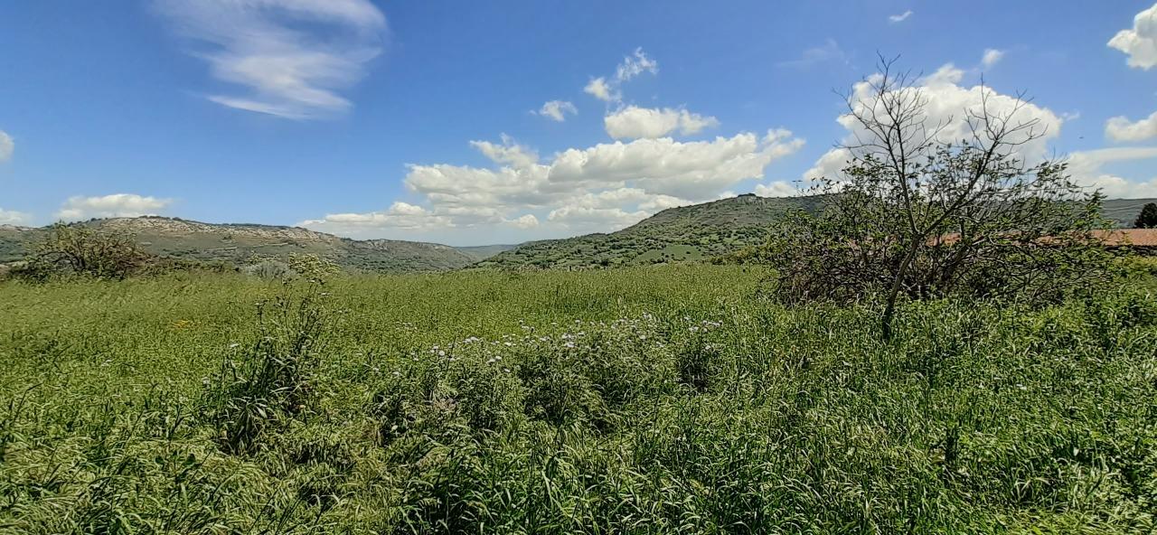 Vendita Trivani, Palazzolo Acreide foto