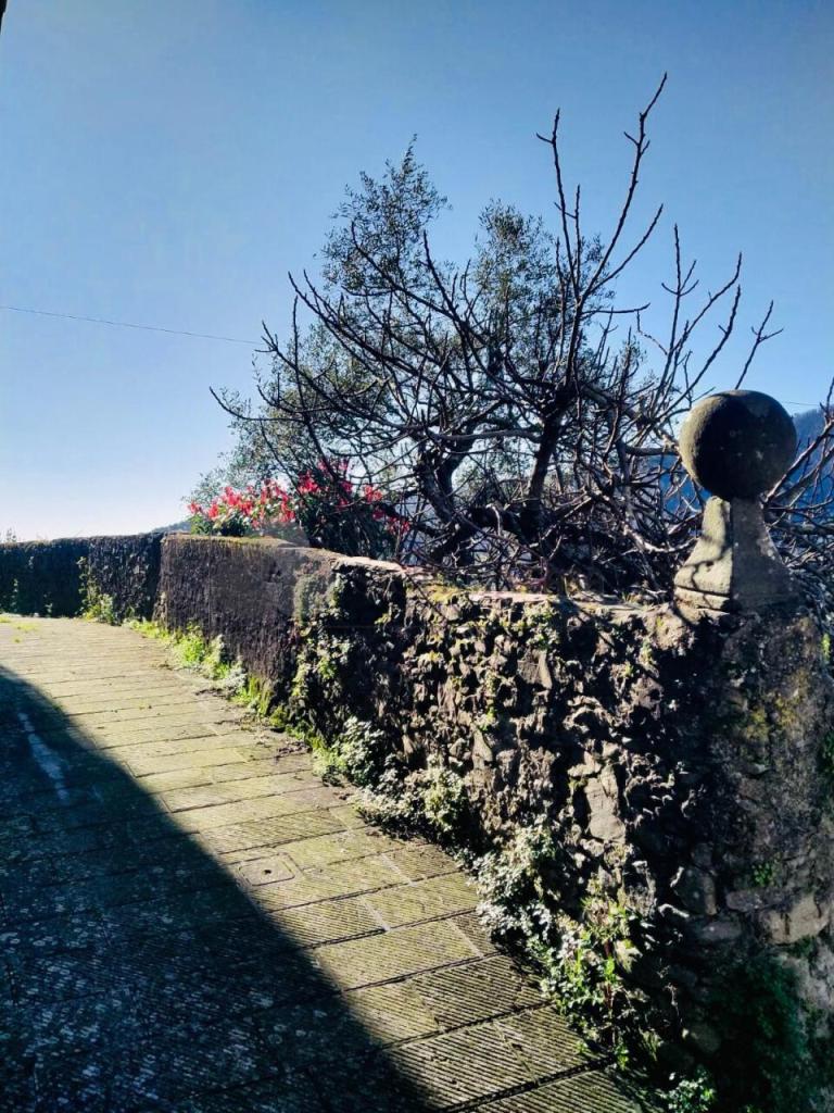 Vendita Pentavani, Borghetto di Vara foto