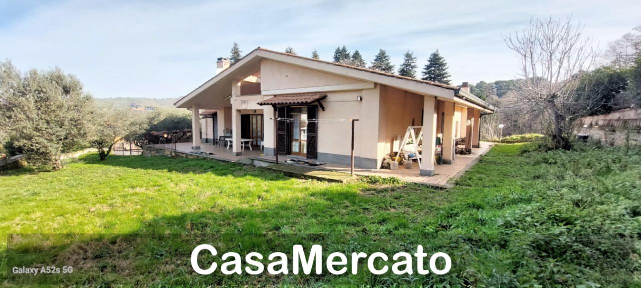 Verkauf Multivani, Rocca di Papa foto