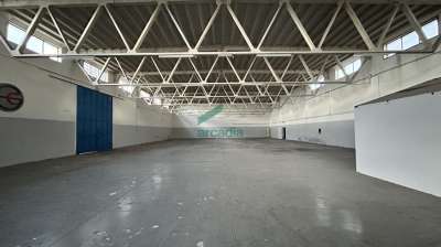 Affitto Monovano, Bitonto