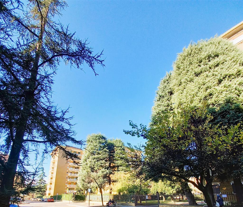 Venta Appartamento, Cinisello Balsamo foto