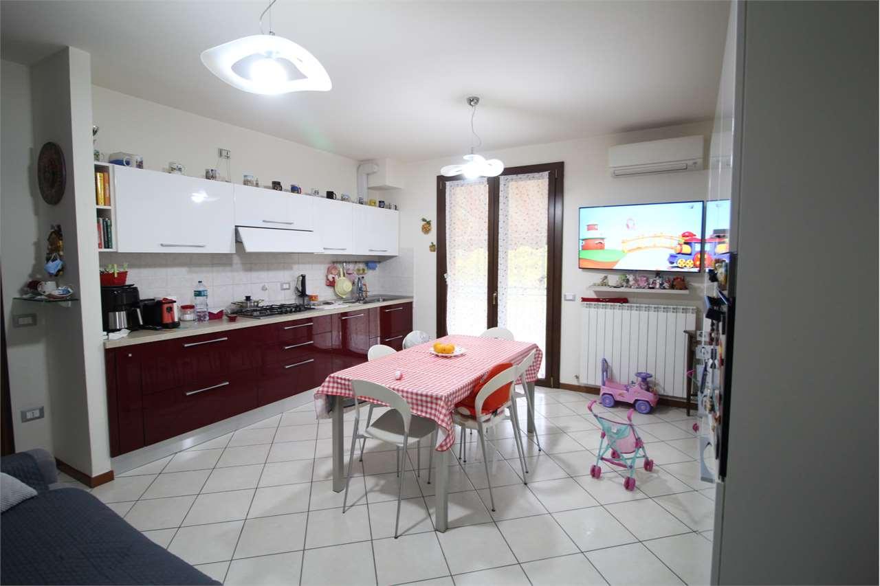 Vendita vendita, Tavullia foto