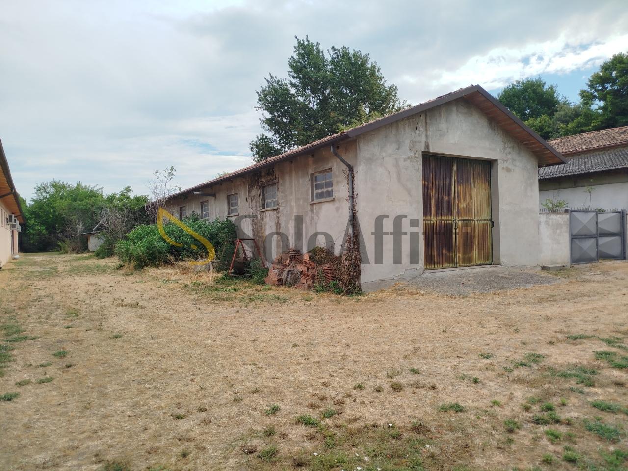 Affitto Trivani, Mirandola foto