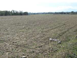 Venta Tierra, San Sperate