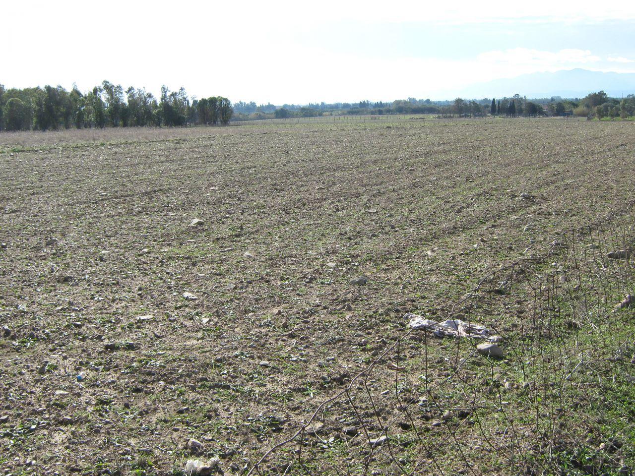 Vendita Terreni, San Sperate foto