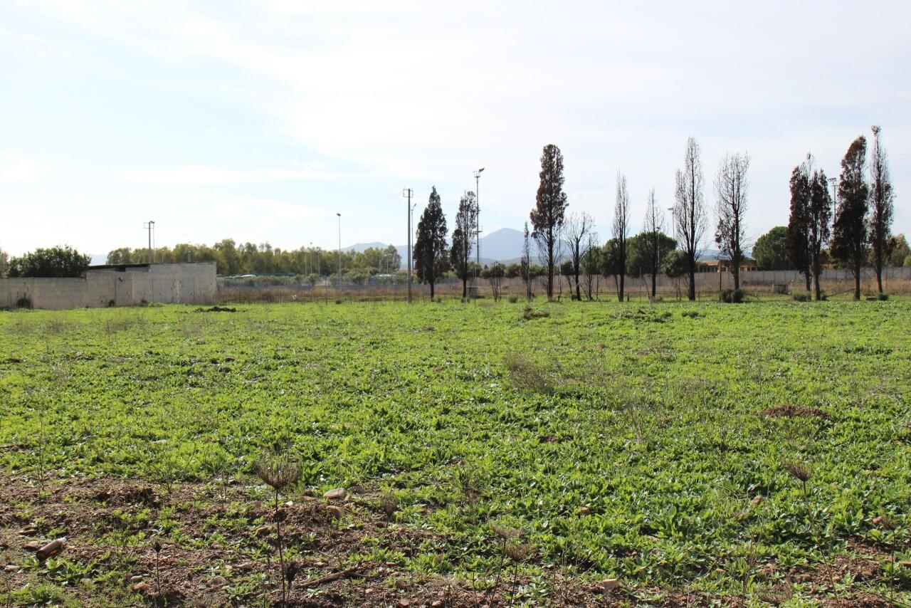 Sale Homes, Uta foto