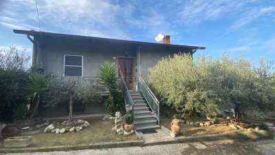 Venta Multivani, Borghi