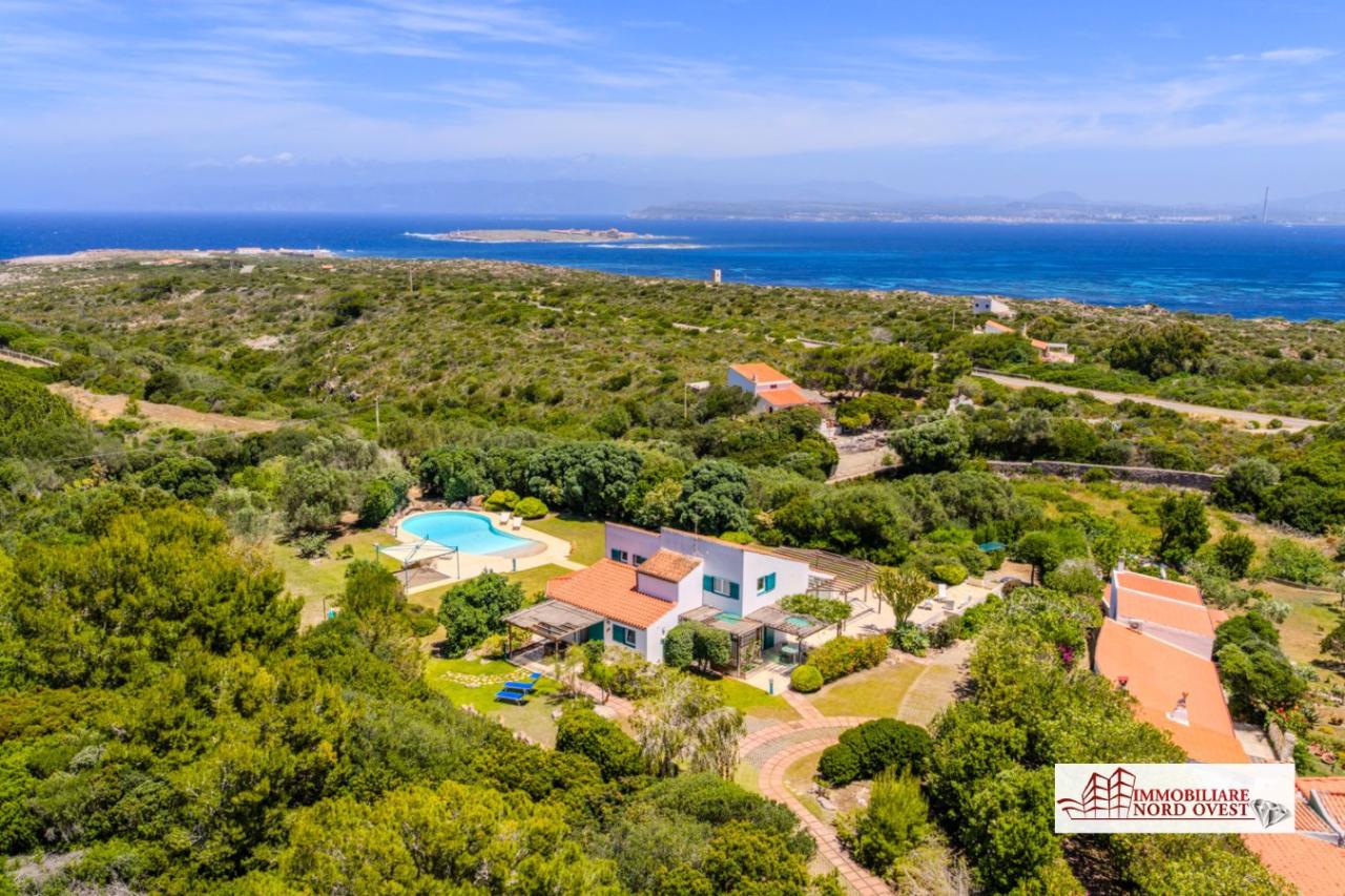 Verkauf Esavani, Carloforte foto