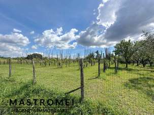 Verkauf Rustico, Castelfranco di Sotto Verkauf Rustico, Castelfranco di Sotto