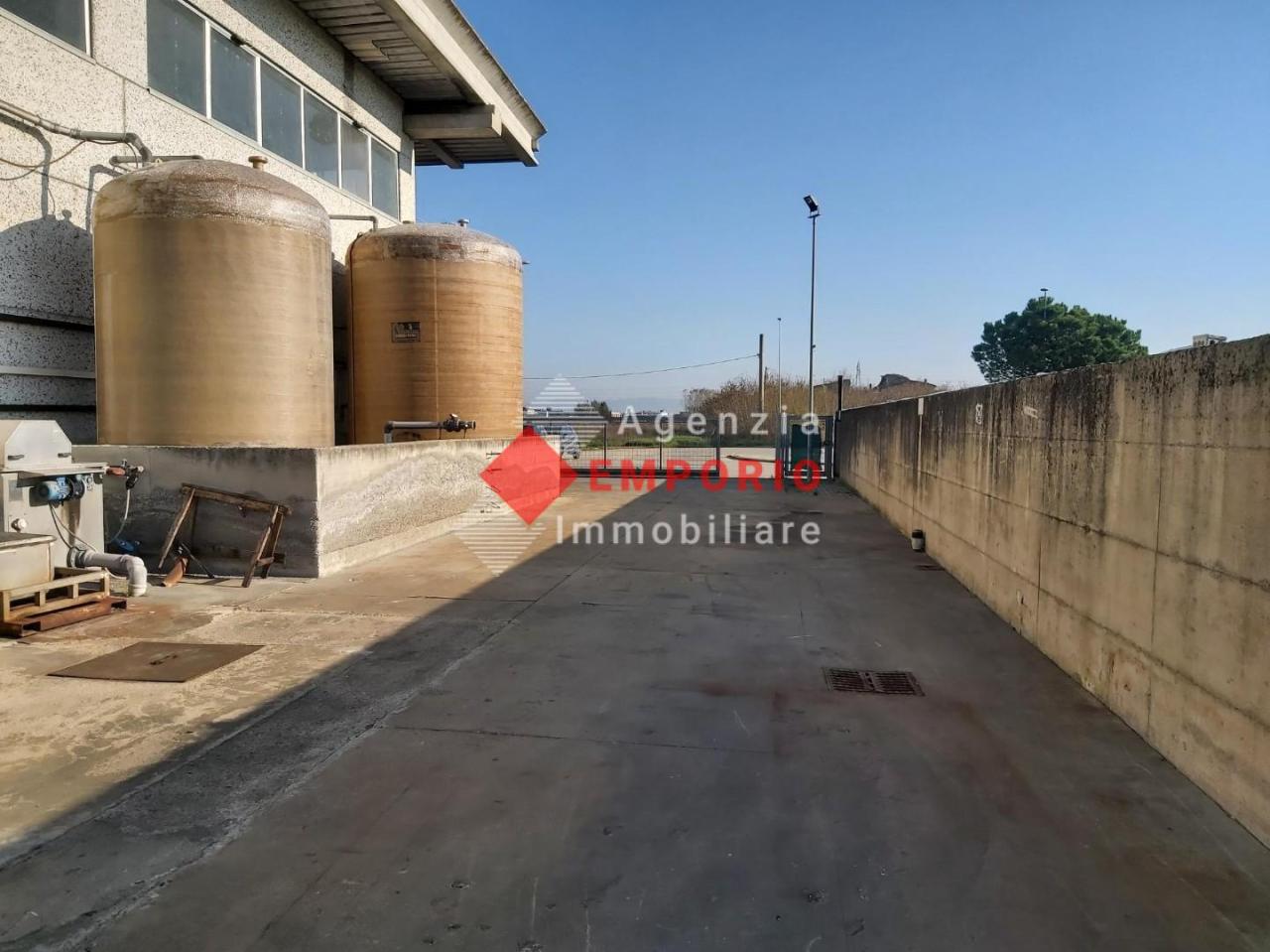 Renta Capannone, Castelfranco di Sotto foto