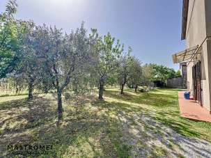 Verkauf Rustico, Castelfranco di Sotto