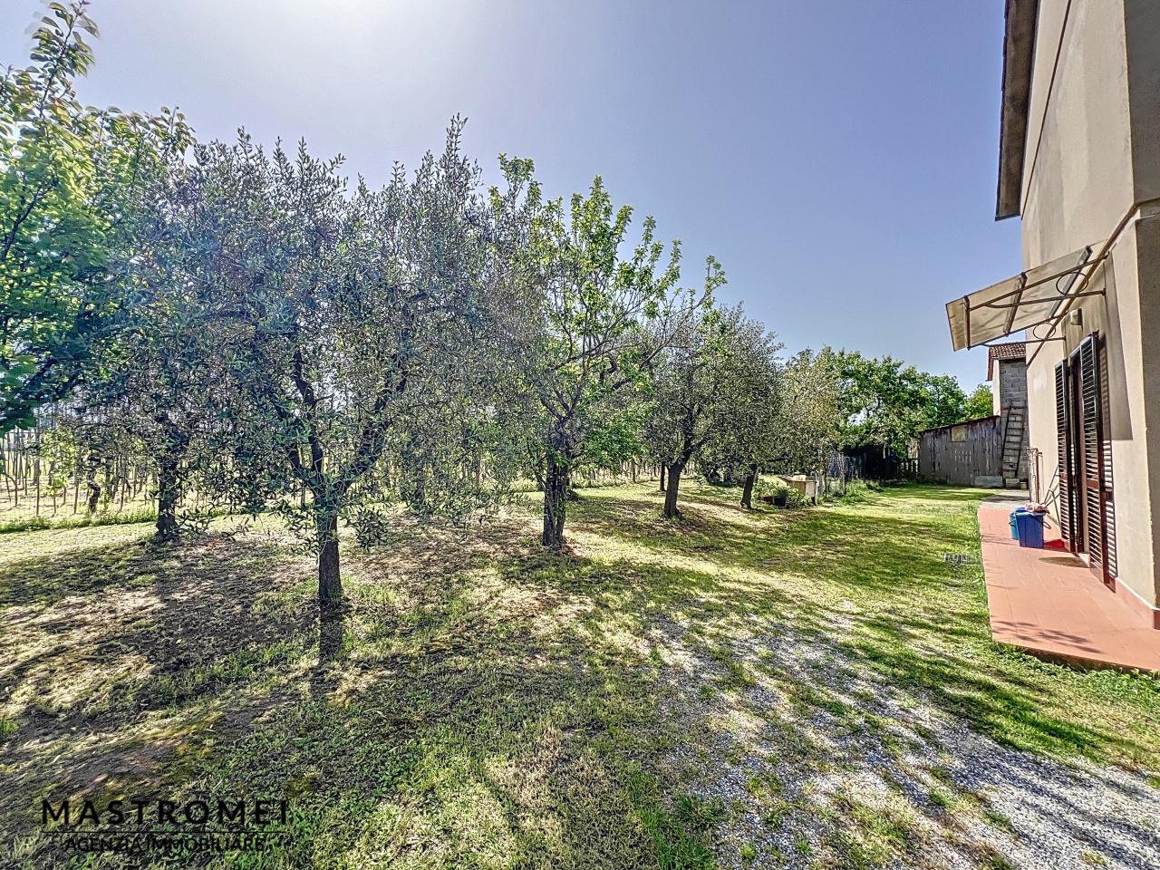 Venta Rustico, Castelfranco di Sotto foto