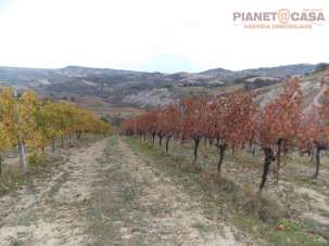 Vendita Terreno, Ripatransone