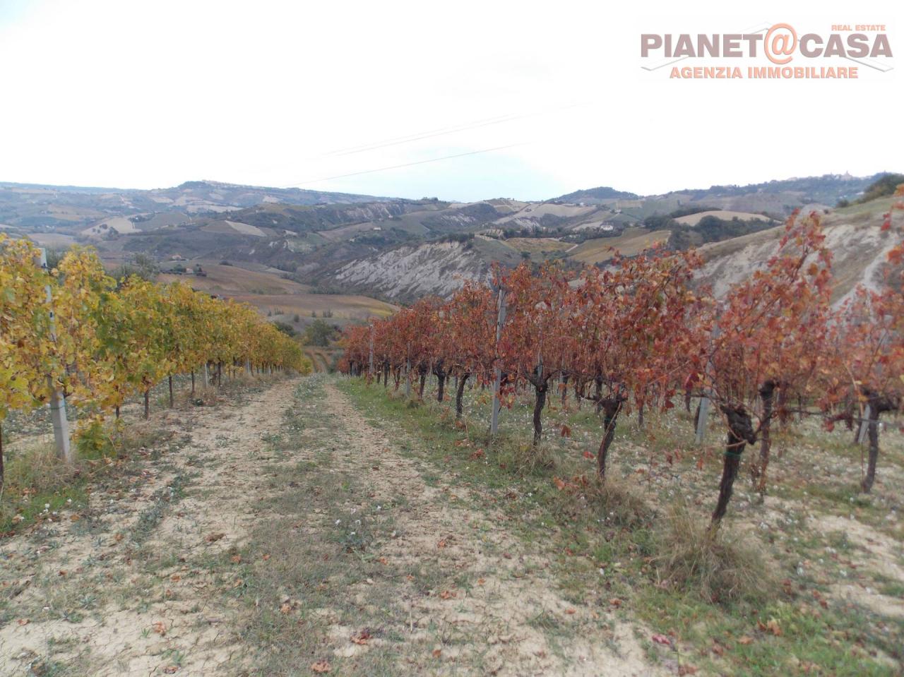 Vendita Terreno, Ripatransone foto
