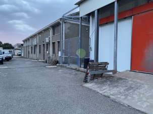 Mieten D, Rosignano Marittimo