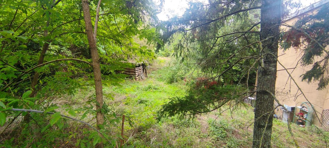 Vendita Pentavani, Londa foto