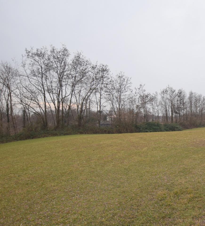 Vendita Altri immobili, Montebelluna foto