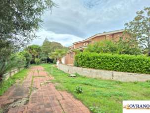 Verkauf Multivani, Palermo