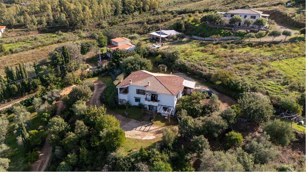 Venta vendita, Siniscola foto