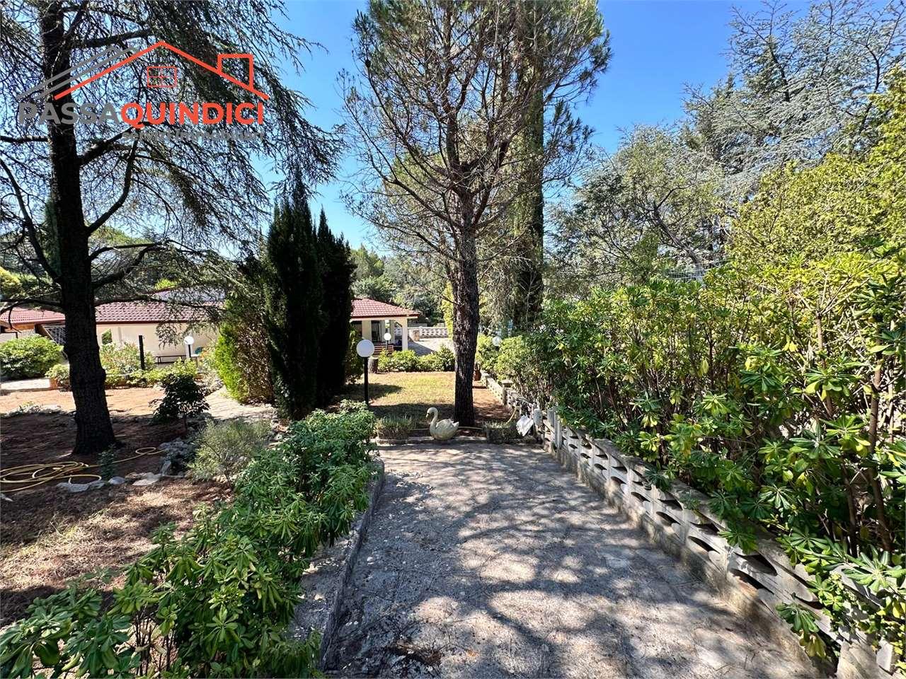 Vendita vendita, Cassano delle Murge foto