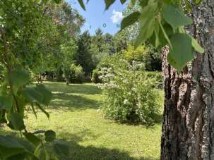 Vendita VILLETTA, Barberino di Mugello