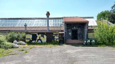 Verkauf Multivani, Lucca