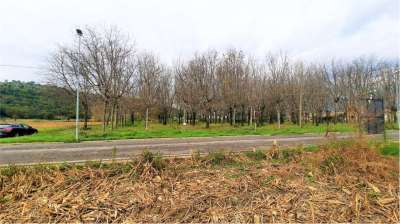 Venta vendita, Castelliri Venta vendita, Castelliri