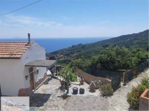Vendita vendita, Campo nell'Elba