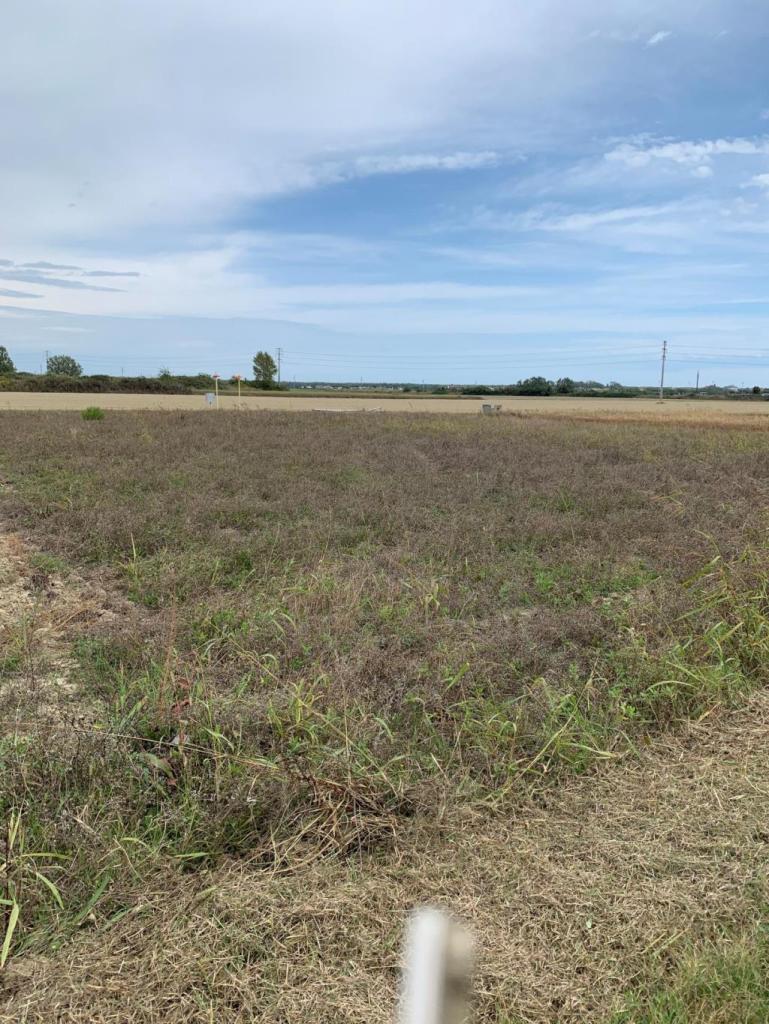 Vendita Terreno Agricolo, Ravenna foto