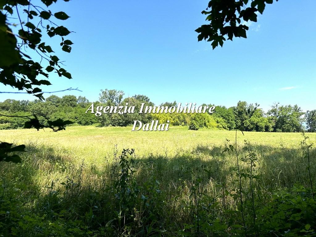 Verkauf Rustico / Casale, Borgo San Lorenzo foto