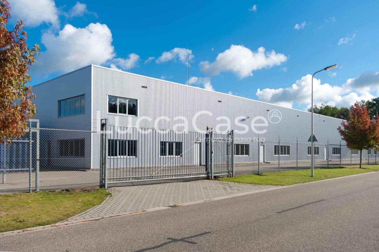 Verkauf Capannone, Vecchiano foto