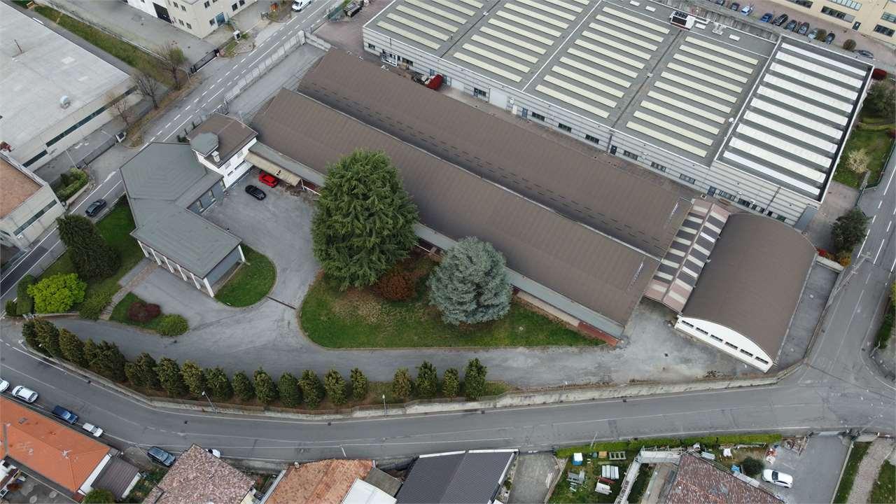 Vendita vendita, Cantu foto