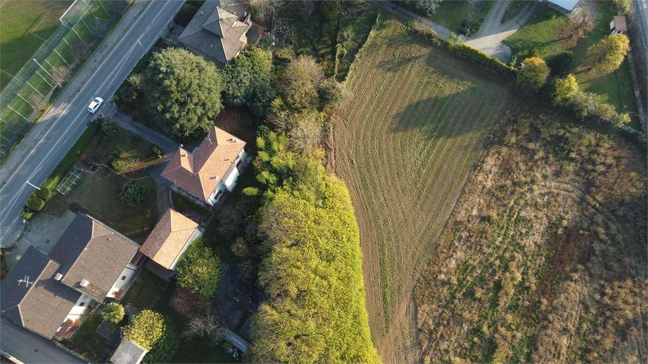 Vendita vendita, Lomazzo foto