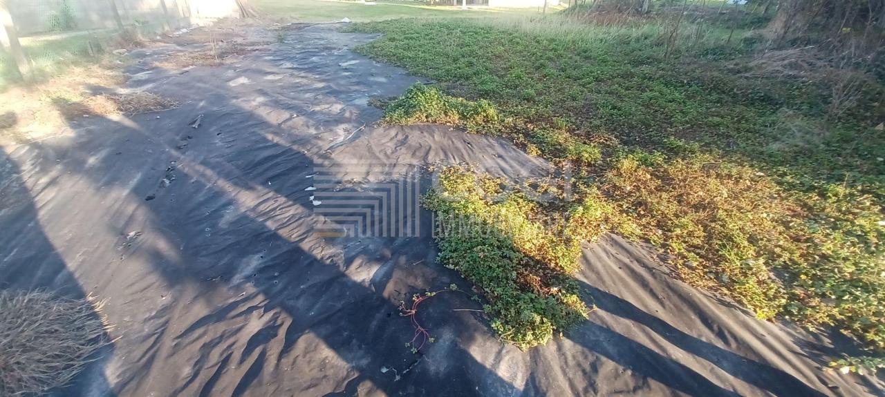 Verkauf Rustico / Casale, Lugo foto