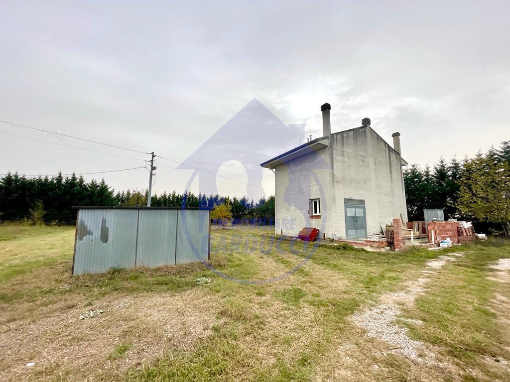 Verkauf false, Cesenatico foto