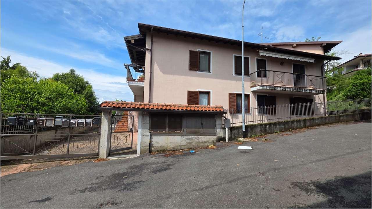 Vendita vendita, Malgesso foto