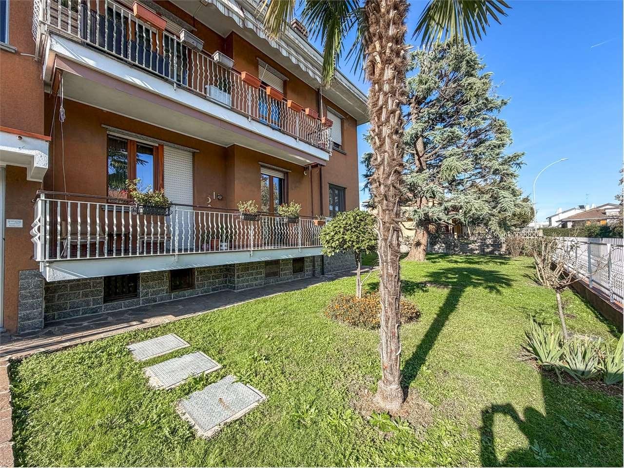 Vendita vendita, Magenta foto