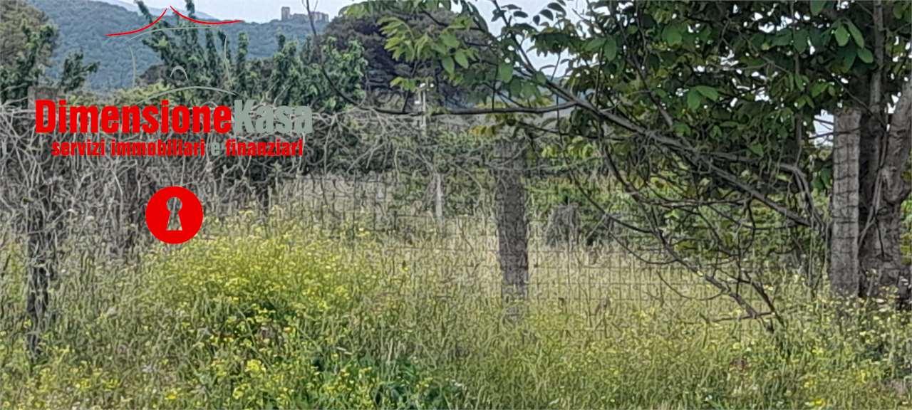 Vendita vendita, Maddaloni foto