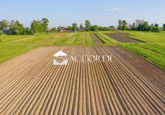 Verkauf Andere eigenschaften, Treviso