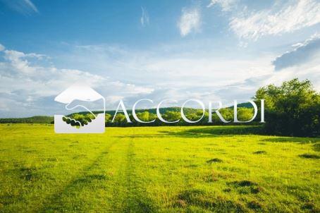 Vendita Altri immobili, Montebelluna foto