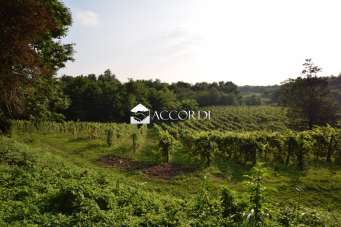 Vendita Altri immobili, Montebelluna