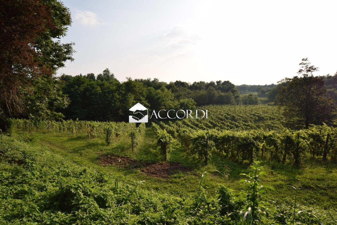 Vendita Altri immobili, Montebelluna foto