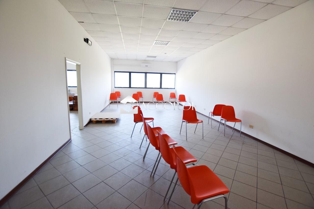 Affitto ATTIVITA', Pederobba foto