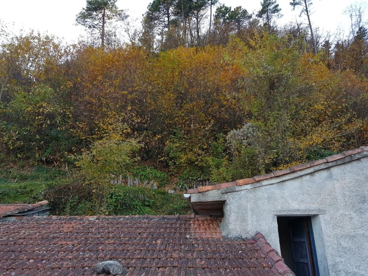 Venta Pentavani, Borghetto di Vara foto