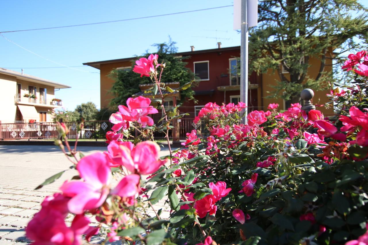 Venta Esavani, Longare foto