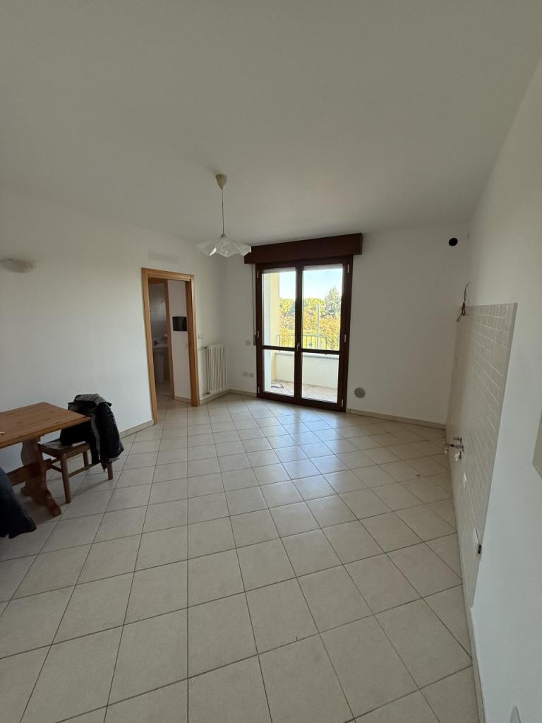 Vendita Trivani, Savignano sul Rubicone foto