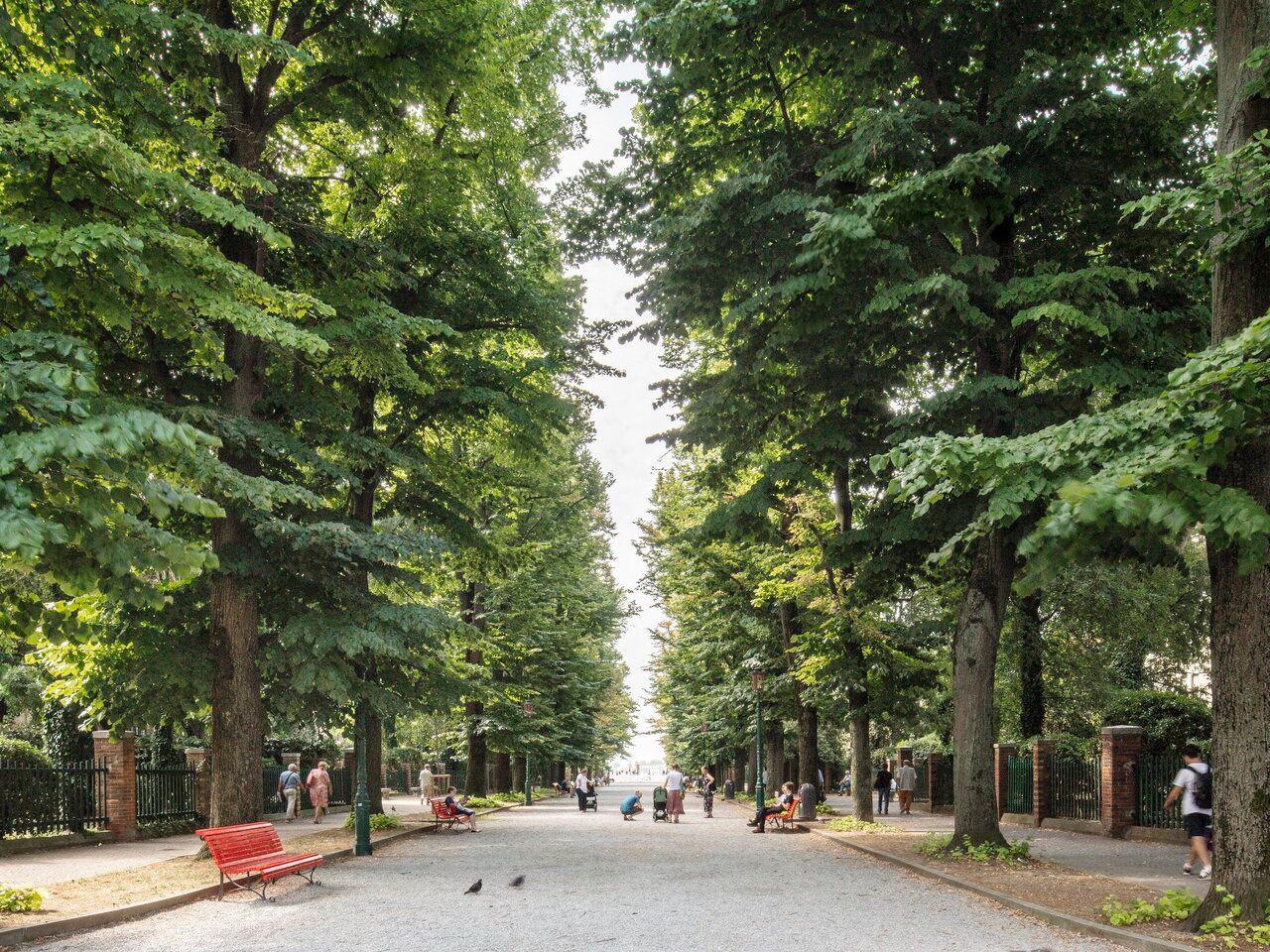 Venta Appartamento, Venezia foto