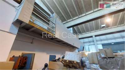 Affitto affitto, Modena