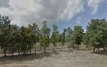 Verkauf vendita, Assemini